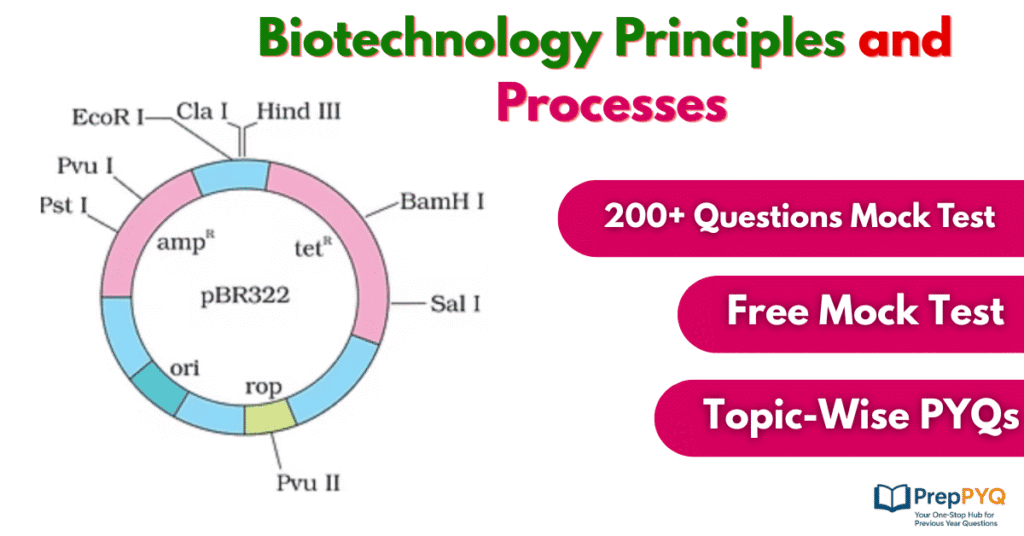 Biotechnology Principles and Processes NEET PYQ